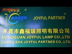 Ondernemingsinleiding met professioneel technologie R & D en verkoopteam