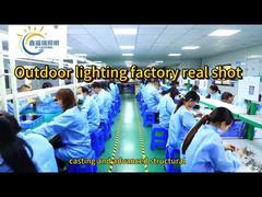 Hoe Bomen te Verlichten in Landschapsverlichting