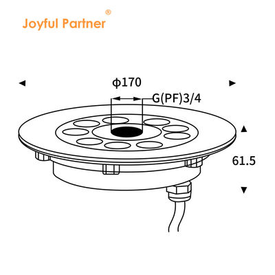 LED FUNTAINLIGHT 316 roestvrij staal RGB ENIGE KLEER170*61MM DC12V / 24V IP68 waterdicht