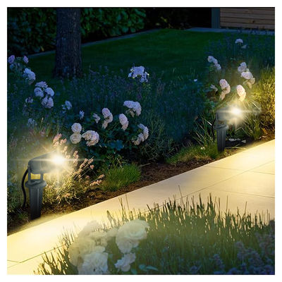 2024 Nieuw Aluminium Hoofdstuk IP66 Waterdicht Lage Spanning 6W CREE COB 12V LED Spike Lampen Voor Looppad