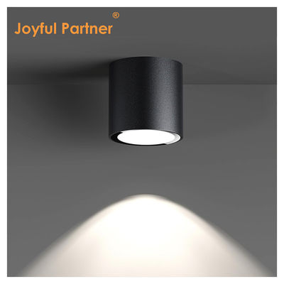 IP65 Plafondlicht Oppervlakte gemonteerd Downlight Waterdicht Spot Light 6000K Smd Wit Led DownLight