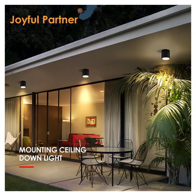 IP65 Plafondlicht Oppervlakte gemonteerd Downlight Waterdicht Spot Light 6000K Smd Wit Led DownLight