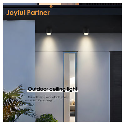 Spot Tuin LED Plafondlicht Oppervlakte gemonteerd Cylindrisch Aluminium 220V 8W 3000K Warm Wit