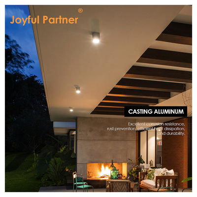 Joyful LED Wall Ceiling Surface Mount Light 4W 8W 220V AC Aluminium lichaam