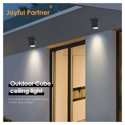 Joyful LED Wall Ceiling Surface Mount Light 4W 8W 220V AC Aluminium lichaam