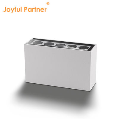 LED Down Light SMD Plafondoppervlak Gegooid aluminium 5w 10w Straalhoek 60 graden 3000K Warm wit LED Voor voordeur