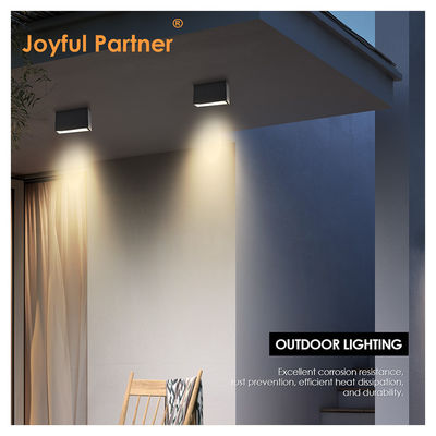 LED Down Light SMD Plafondoppervlak Gegooid aluminium 5w 10w Straalhoek 60 graden 3000K Warm wit LED Voor voordeur