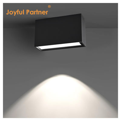 Oppervlakte gemonteerd Downlight buiten waterdicht IP65 10W plafond schijnwerper naar beneden licht cob led spotlight Voor hotelproject