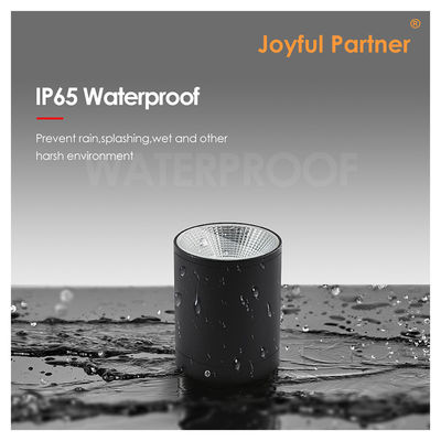CE IP65 Plafondlicht oppervlak gemonteerd onderlicht waterdicht spotlicht Cree Cob LED Met rond ontwerp