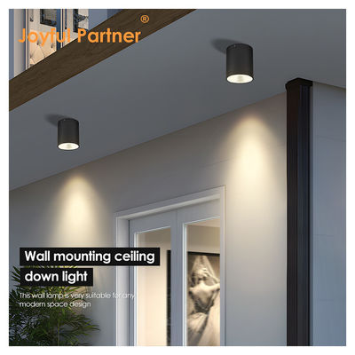 CE IP65 Plafondlicht oppervlak gemonteerd onderlicht waterdicht spotlicht Cree Cob LED Met rond ontwerp