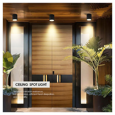 CE IP65 Plafondlicht oppervlak gemonteerd onderlicht waterdicht spotlicht Cree Cob LED Met rond ontwerp