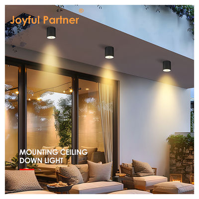 LED donkere cilinder wandverlichting voor buiten tuin wand daglicht COB Al materiaal met OEM-diensten