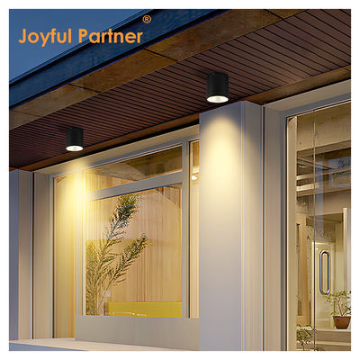 LED donkere cilinder wandverlichting voor buiten tuin wand daglicht COB Al materiaal met OEM-diensten