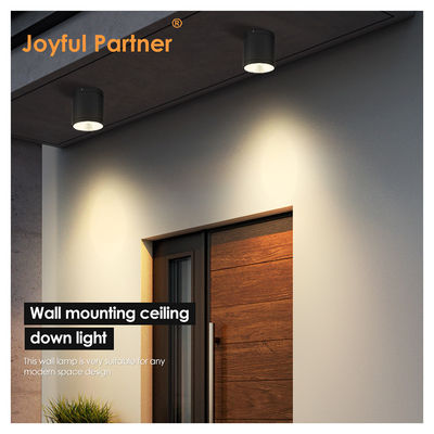 LED donkere cilinder wandverlichting voor buiten tuin wand daglicht COB Al materiaal met OEM-diensten