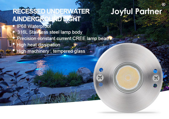 IP68 Onderwater LED Zwembadverlichting Roestvrij Staal 316 1W 2W Dompelbaar Asymmetrische Lens